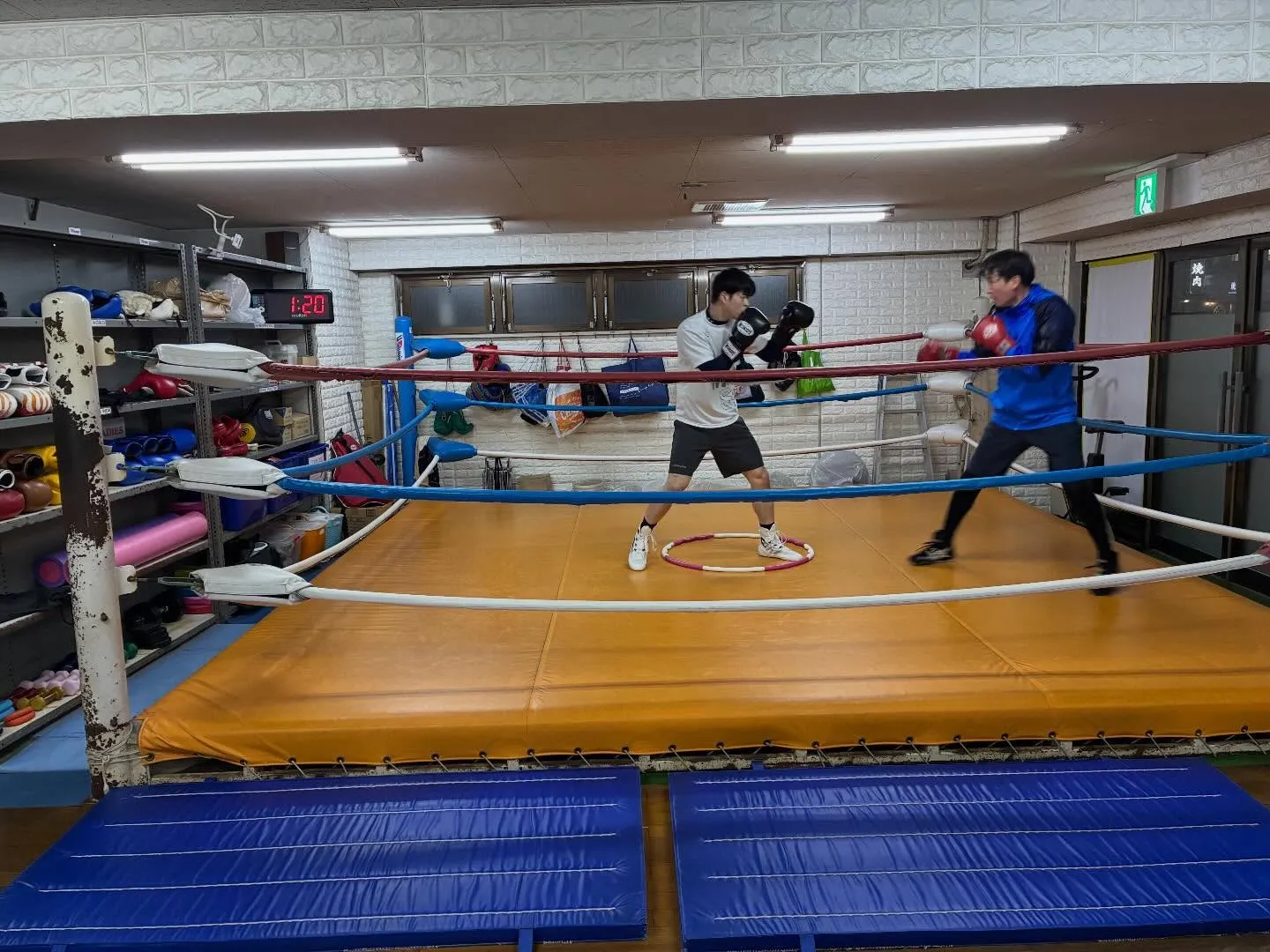 マスボクシング