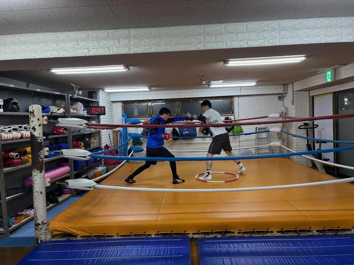 マスボクシング