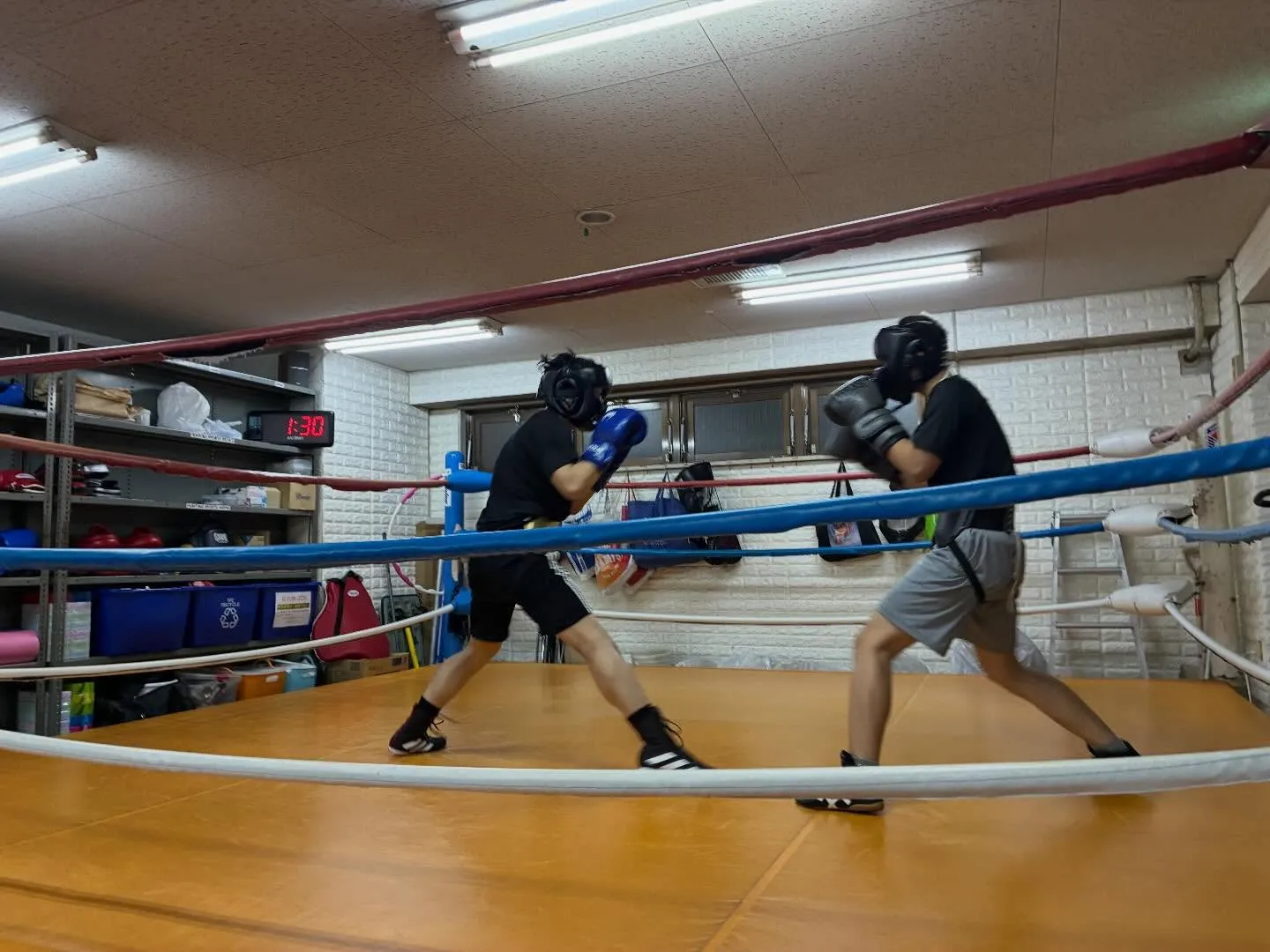 マスボクシング