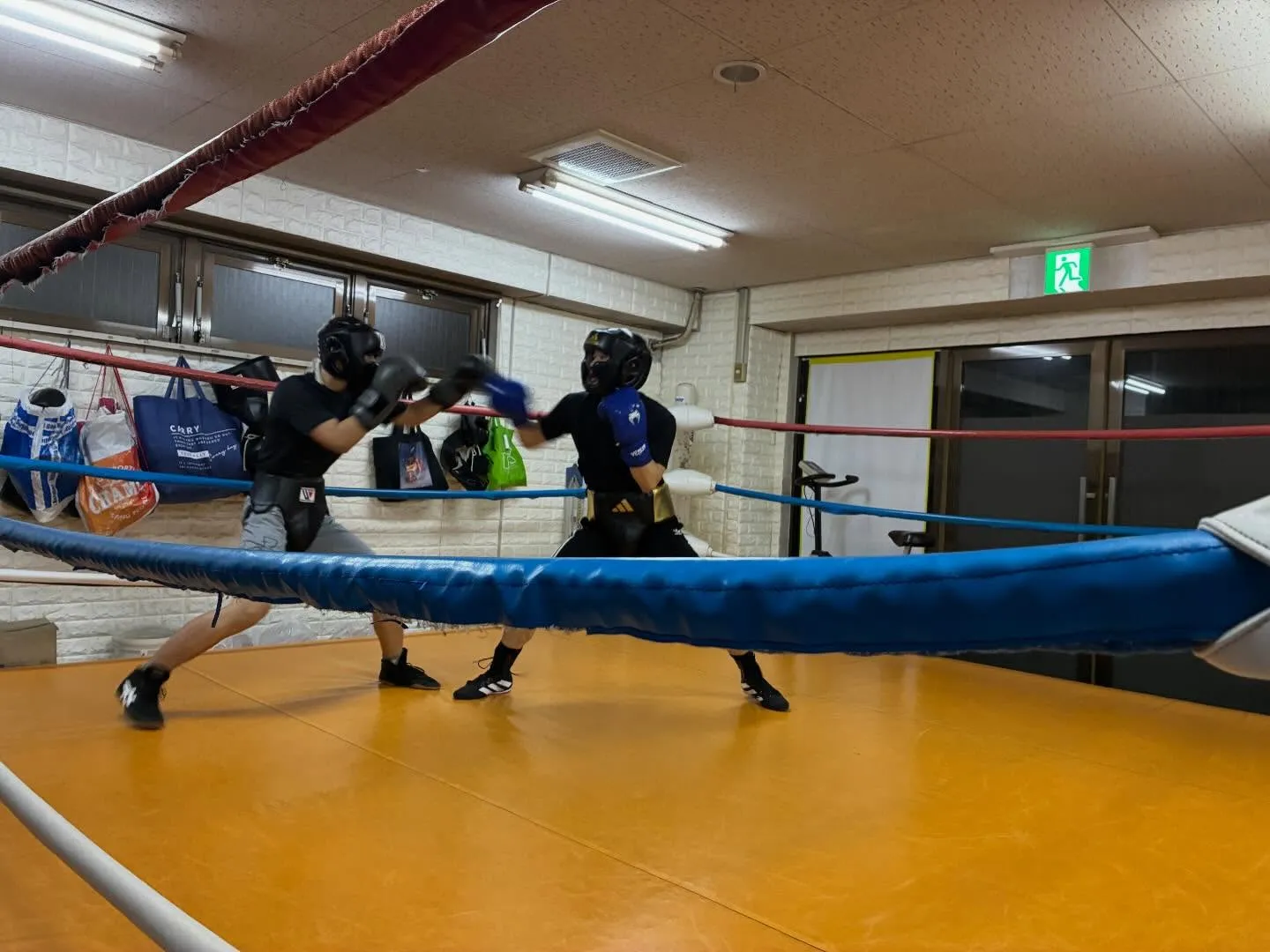 マスボクシング