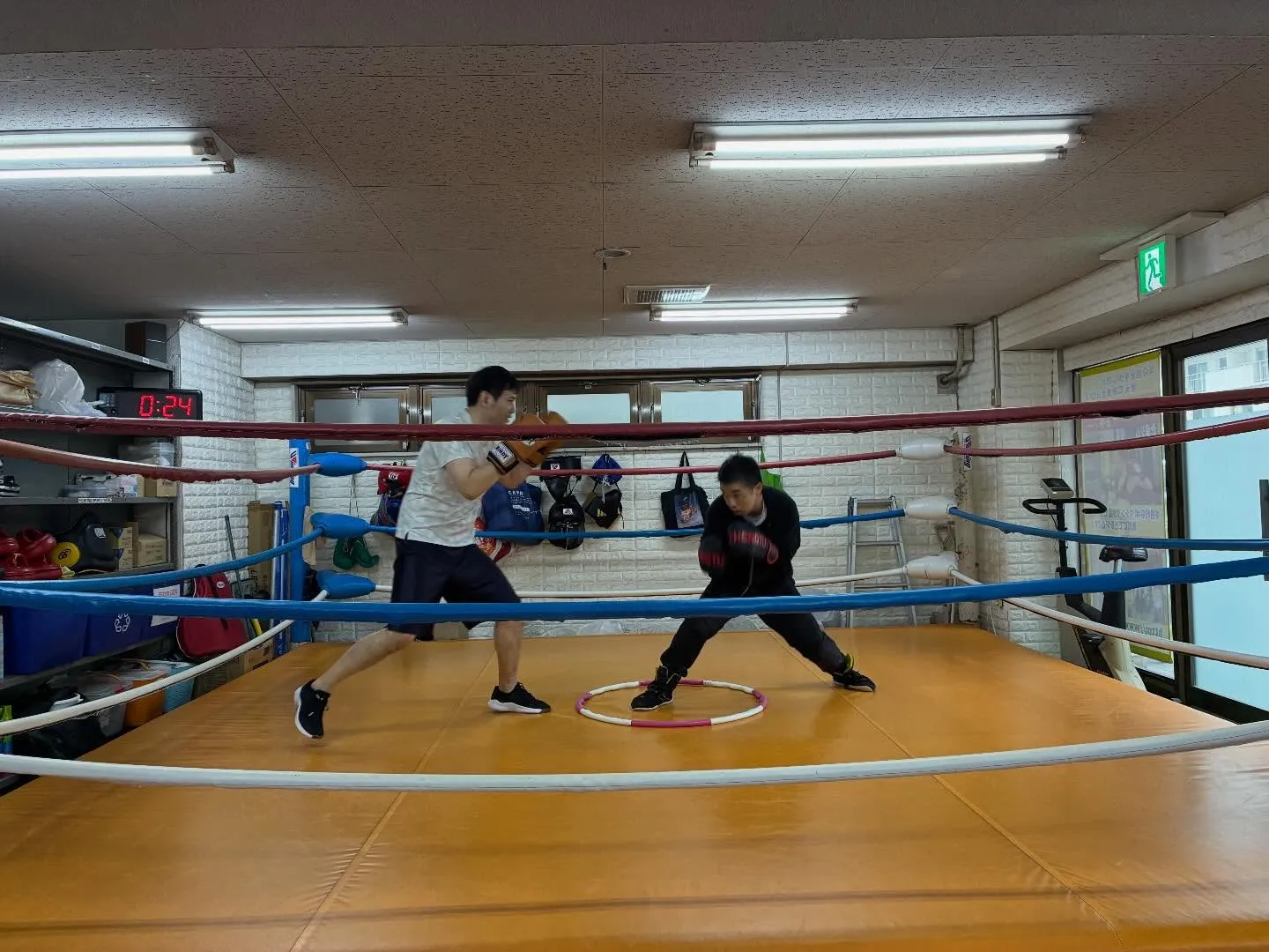 マスボクシング