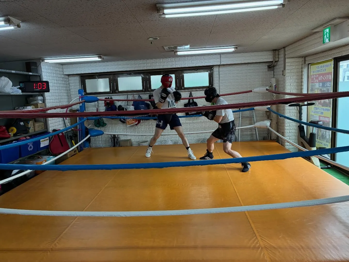 マスボクシング