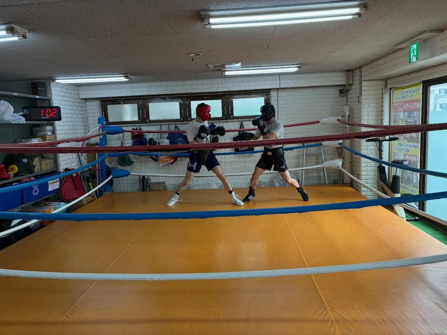 マスボクシング