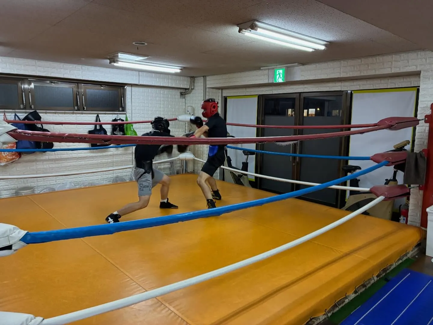 マスボクシング