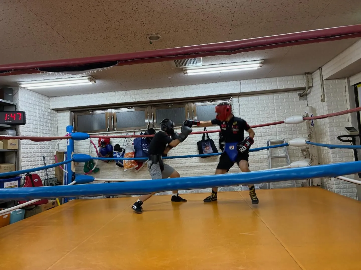 マスボクシング