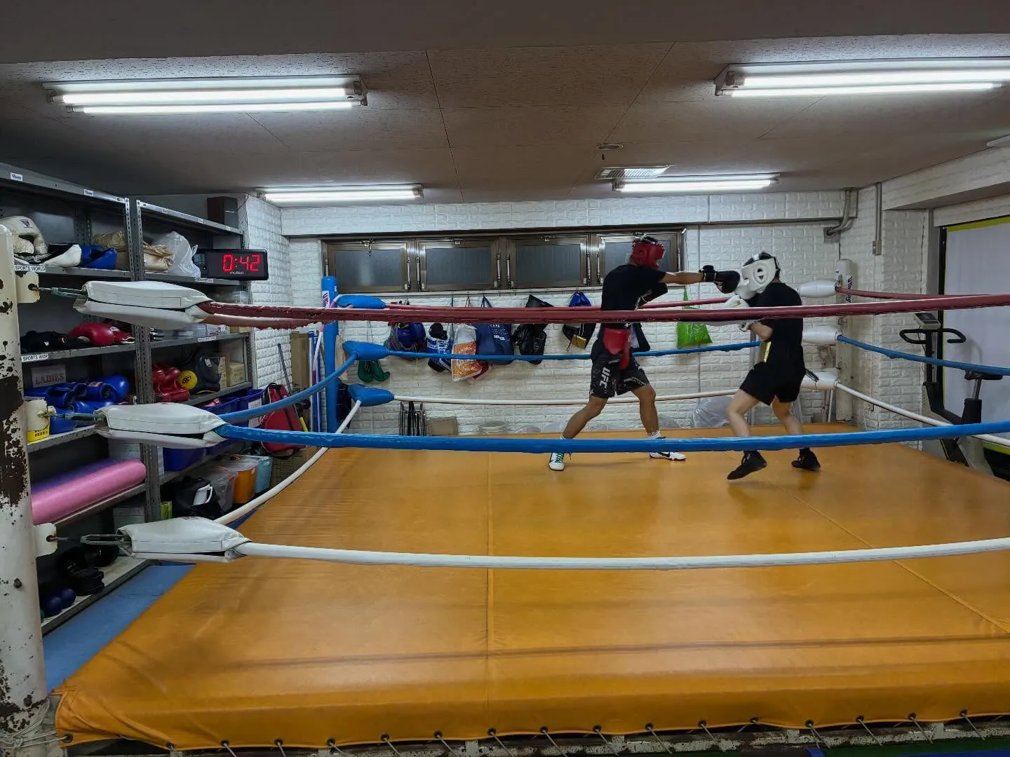 マスボクシング