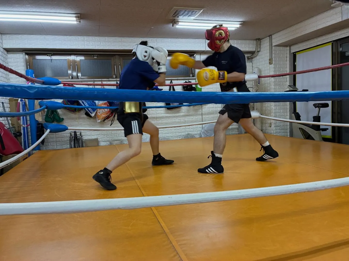 Saturday  Training