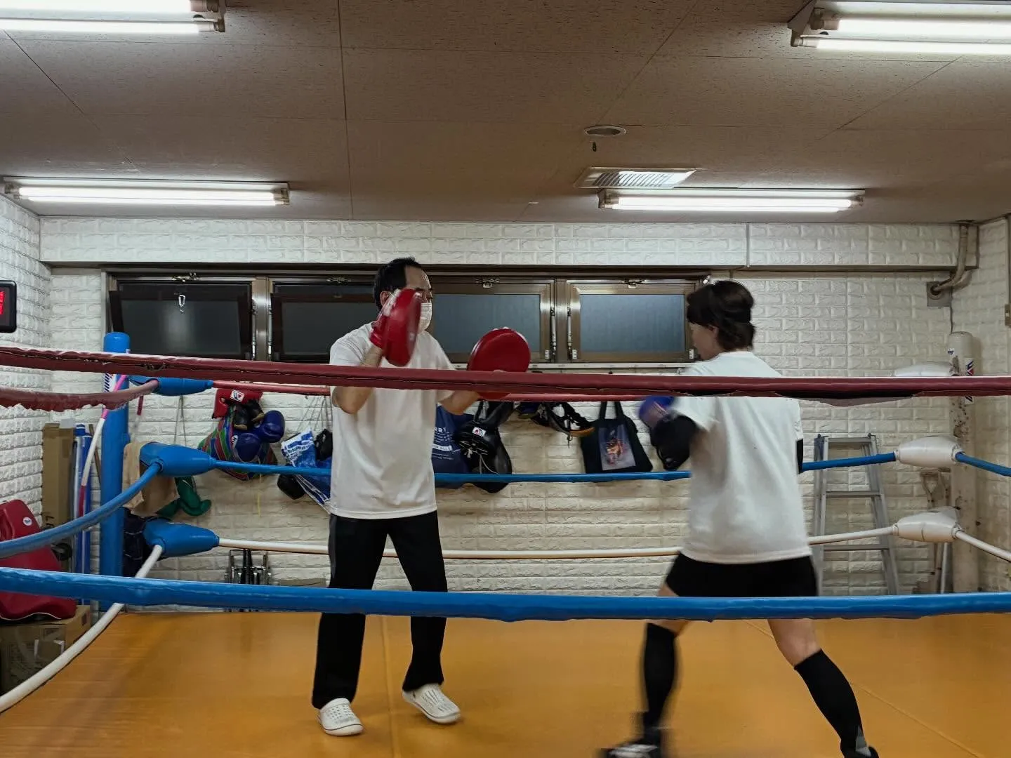ミット打ち