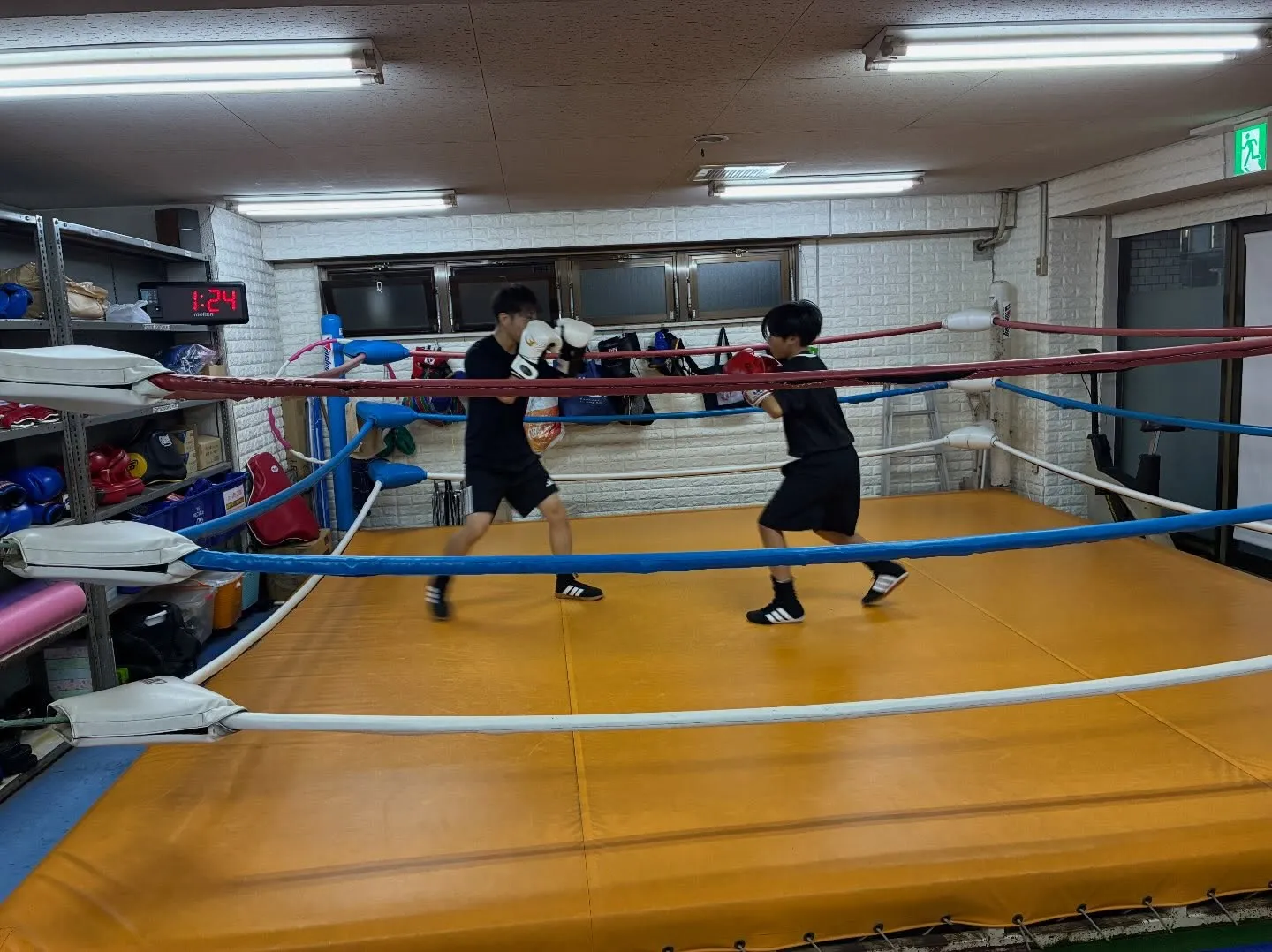 Saturday  Training