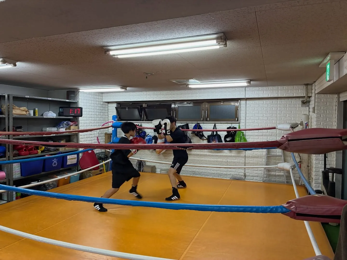 Saturday  Training