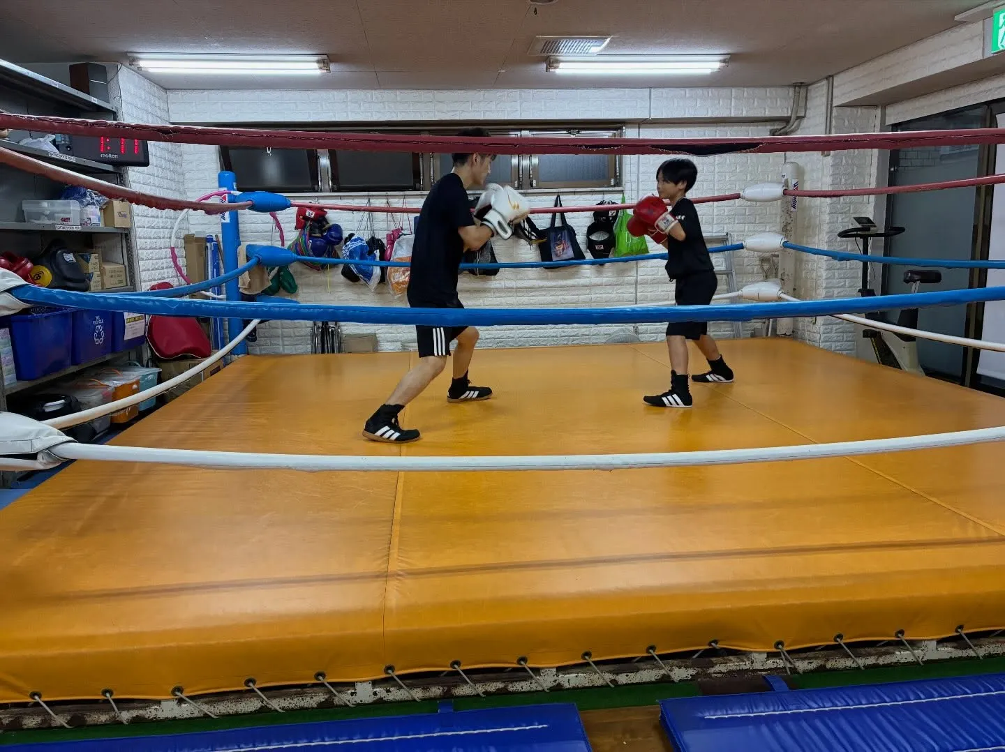 Saturday  Training