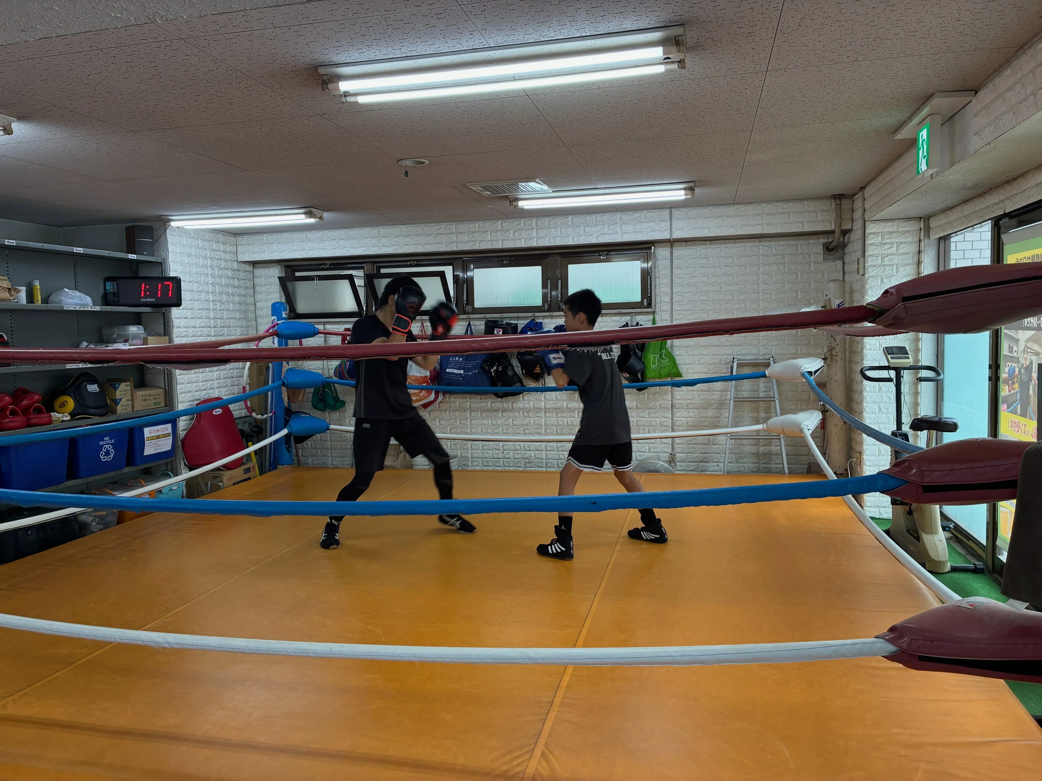 Sunday  training