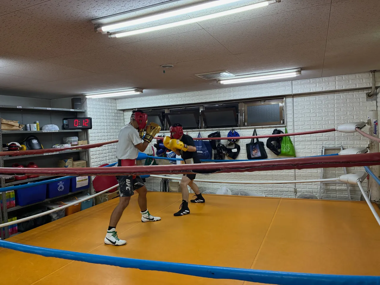 マスボクシング